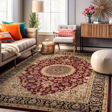 Traditional Oriental Medallion Area Rug