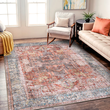 Vintage Inspired Distressed Machine Washable Area Rug